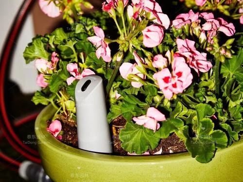 1587972666591506.jpg u=3339733035,1486083683&fm=26&gp=0.jpg