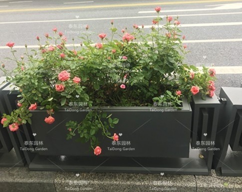 隔離花箱護欄 隔離花箱護欄