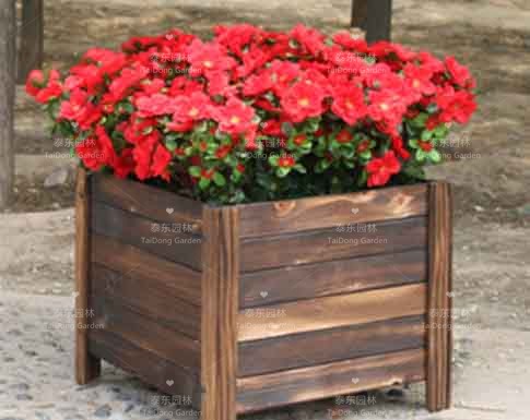 花箱 花箱