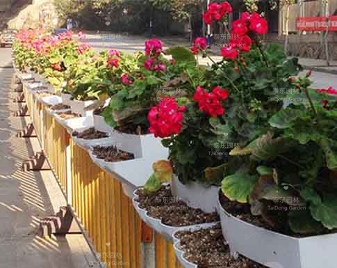 花箱 花箱