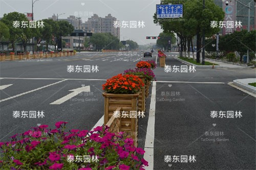 馬路隔離花箱 馬路隔離花箱