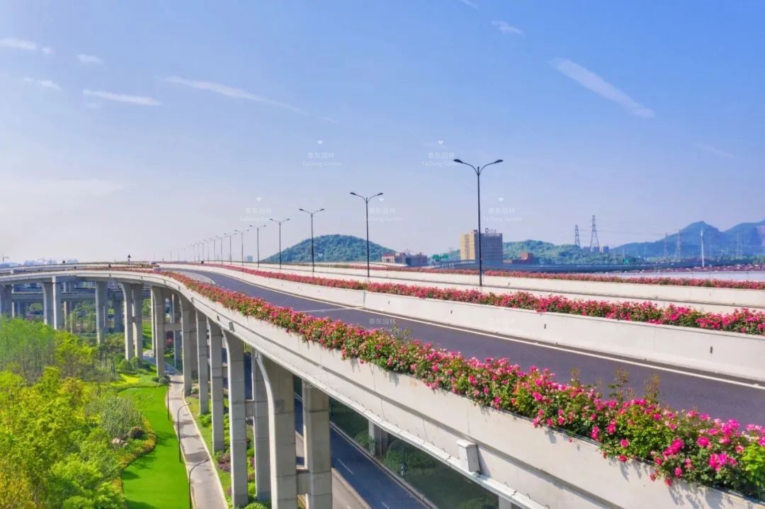 1676356455991263.jpg 9.jpg