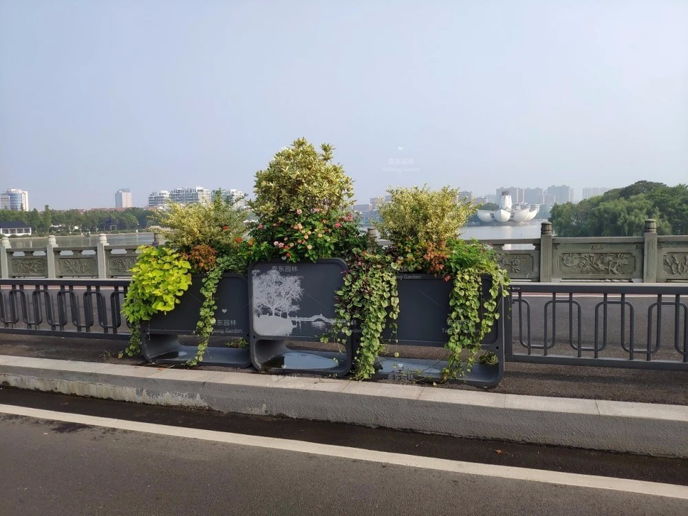 1678936523518514.jpg 東湖景區花箱3.jpg