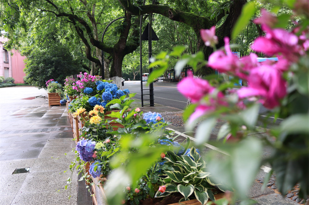 1689121652687014.jpg 花箱