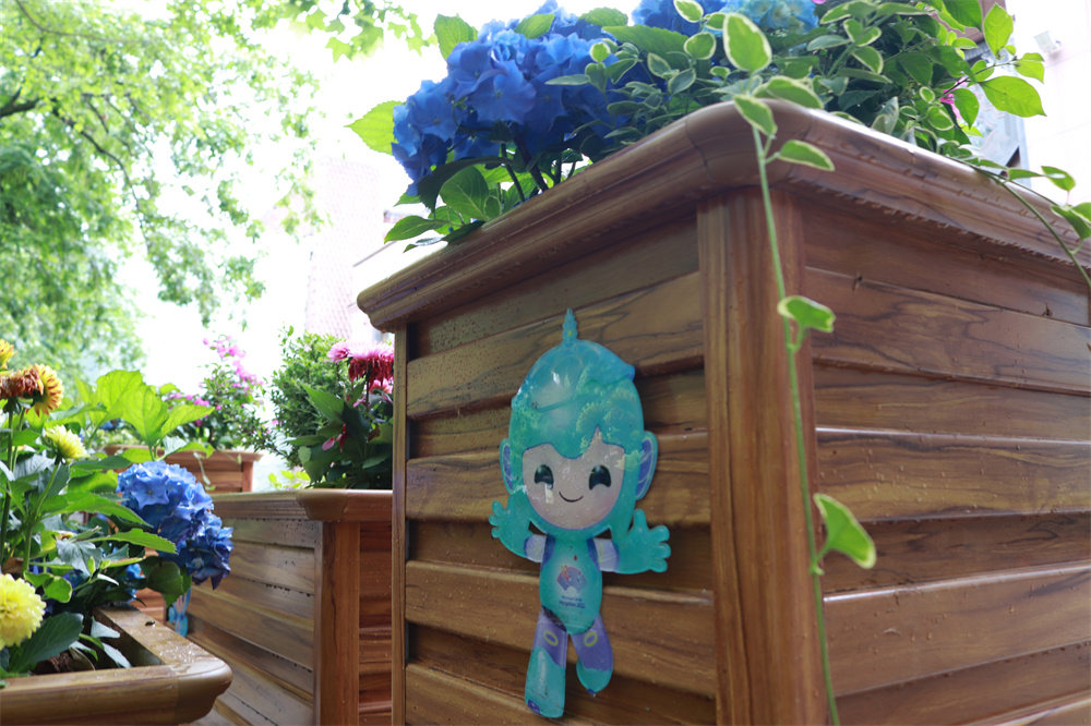 1689121652841853.jpg 花箱