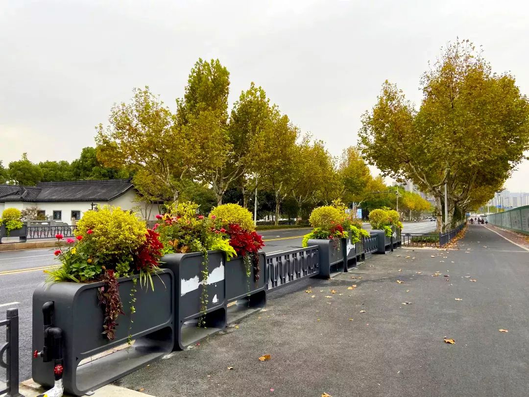 1689122316835335.jpeg 花箱