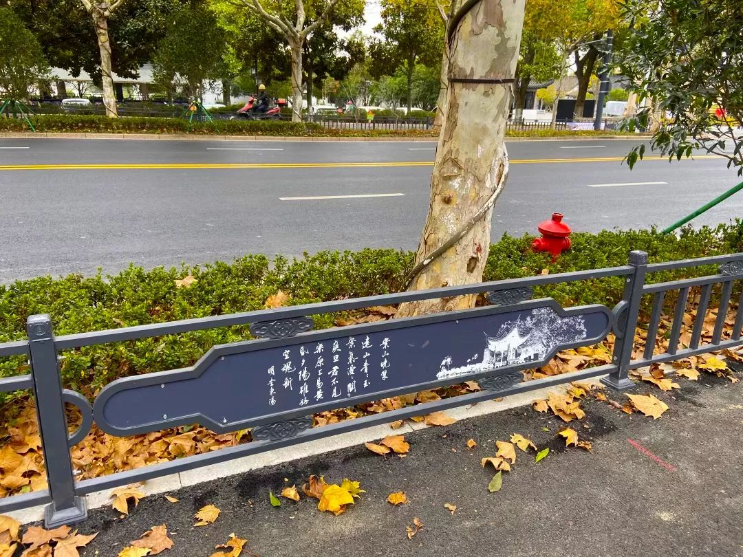 1689122450547876.jpeg 花箱