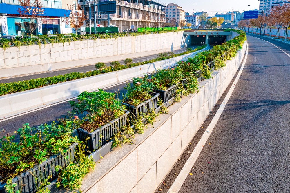 1701313186151820.jpg 花箱